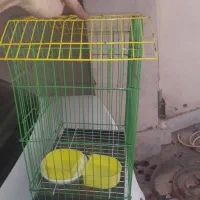 قفس پرنده و ناخن گیر و سوهان سگ و گربه
