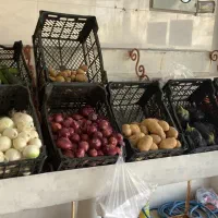 قفس میوه|فروشگاه و مغازه|اهواز, پردیس دو|دیوار