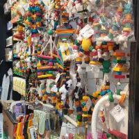 قفس دان اسباب بازی لوازم پرندگان پت شاپ طوطی مارکت|لوازم جانبی حیوانات|قم, زنبیل آباد|دیوار