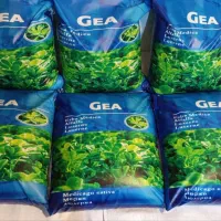 جیا ایتالیایی پایه بلند