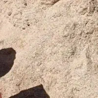 کاه کوبیده گندم تمیز وبدون گرد و خاک