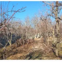 فروش-باغچه-شهریار
