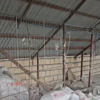 برقکار|خدمات آموزشی|طاهرگوراب, |دیوار