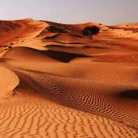 فیش حج عمره