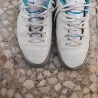 کوچیک شده