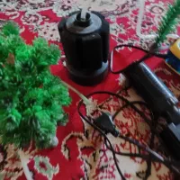 لوازم آکواریوم|ماهی|تبریز, |دیوار