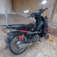 شوکا ۹۱ در حد