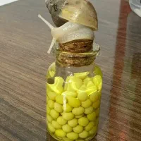 تولید و فروش خاویار حلزون|خزنده|قروه, |دیوار