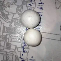 سنگ اسیاب