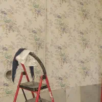 فروش عمده کاغذ دیواری( هر رول ۱۹۵)