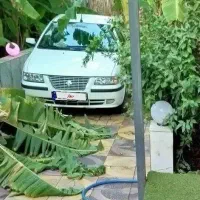 سمند ال ایکس مدل99 درجه 1|خودرو سواری و وانت|دزفول, |دیوار