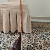 سه تار پالیزدار