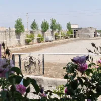 اسب باشگاه سوارکاری نعل|اسب و تجهیزات اسبسواری|کرج, شهرک جهان آرا|دیوار