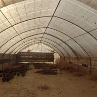 سازه گلخانه ۵۰۰ متری|مصالح و تجهیزات ساختمان|پاکدشت, پاکدشت (مامازند)|دیوار