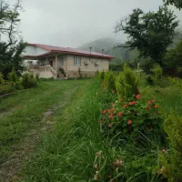 پارتنر سفر طبیعت زمستانی