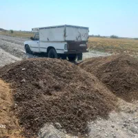 فروش نیسان جکی سالم۸۹ دیزل|خودرو سواری و وانت|باغ ملک, |دیوار