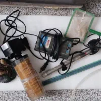 آکواریوم|ماهی|میاندوآب, |دیوار