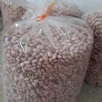 لوبیا چیتی