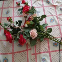 گل و گلدان در یه جا به فروش می‌رسد