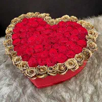 گل فروشی|حراج|مشهد, کشف|دیوار