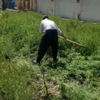 کارگر بیل زنی باغ و باغبانی|خدمات باغبانی و درختکاری|ارومیه, |دیوار