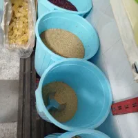 برنج‌وحبوبات‌وروغن‌باچک|خوردنی و آشامیدنی|تبریز, |دیوار