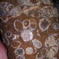 سنگ طبیعی|کلکسیون اشیاء عتیقه|علی‌آباد کتول, |دیوار