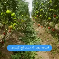 گلخانه نت هاوس