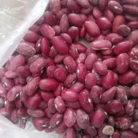 خریدو فروش گندم جو لوبیا ذرت سویا کود