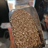 فروش قهوه سبز عمده جهت عطاری(۵ کیلویی و ۱۰ کیلویی)|عمده‌فروشی|تهران, نیروی هوایی (پیروزی)|دیوار