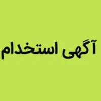 مدیر اجرایی حرفه ای