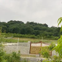 150مترجنگلی-اقساط-بکر