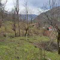 زمین مسکونی با پروانه در دل جنگل|فروش زمین و ملک کلنگی|سیاهکل, |دیوار