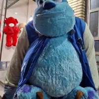 سالیوان 2متری