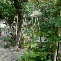 پانسیون.خوابگاه دانشجویی.کارمندی(پسران)|اجارهٔ کوتاهمدت آپارتمان و سوئیت|گرگان, |دیوار