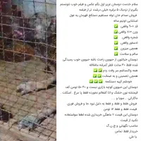 غول سرابی قد۹۳ وزن۸۰ شجره دار دزدگیر عالی|سگ|تهران, والفجر (افسریه)|دیوار