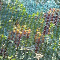 توری ضد پرنده تنها تولیدکننده واقعی ضدپرنده تورینه|عمدهفروشی|تاکستان, |دیوار