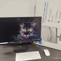 مانیتور ۱۰۰ هرتز Philips 24inch 100hz ips|قطعات و لوازم جانبی رایانه|تهران, جمهوری|دیوار