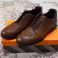 کفش چرم شمس|کیف، کفش، کمربند|اردبیل, |دیوار