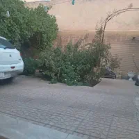 ویلایی دو طبقه ردانی نبش طالقانی|اجارهٔ خانه و ویلا|شاهین‌شهر, نبوت|دیوار