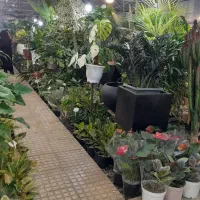 فروشنده خانم و اقا