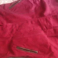 پالتو پاییری