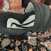 کریر نوزاد درحدنو