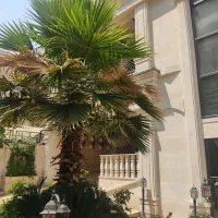 ۸۶ متر واحد لوکس رو به آفتاب