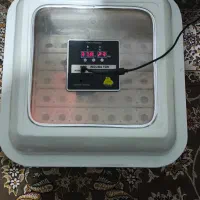 دستگاه جوجه کشی.84 عددی  کاکس