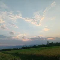 زمین کشاورزی