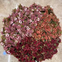 گل وگلدان