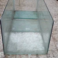 آکواریوم تروتمیز|ماهی|گنبد کاووس, |دیوار