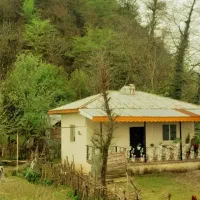 اجاره روزانه ویلا در دل طبیعت از امشب خالی|اجارهٔ کوتاه‌مدت ویلا و باغ|ماسال, |دیوار