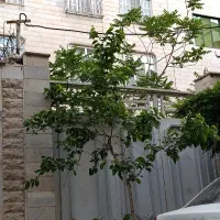 اجاره-مستغلات-120متری-سه-خواب-و-70-متر-دو-خواب